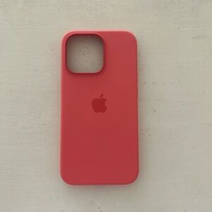 Apple case